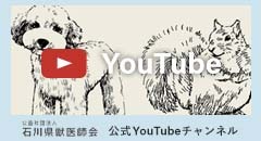 石川県獣医師会 公式YouTubeチャンネル