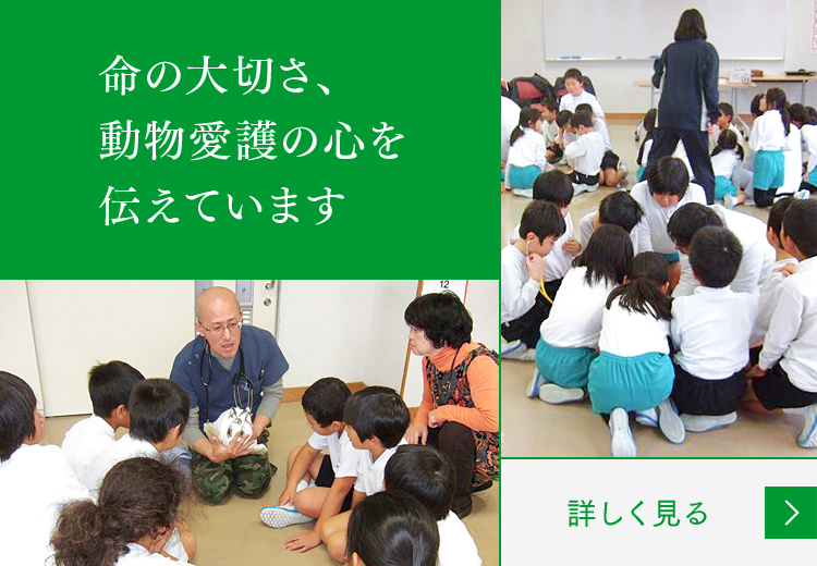 動物愛護活動事業