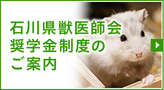 石川県獣医師会奨学金制度のご案内