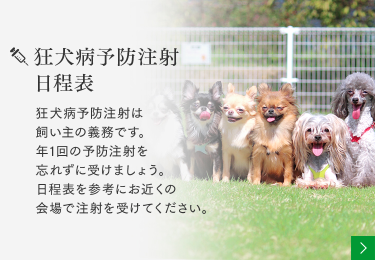 狂犬病予防事業 家畜伝染病予防対策事業