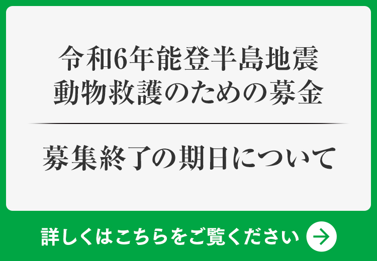 令和6年能登半島地震 義援金