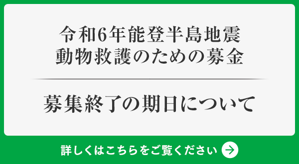 令和6年能登半島地震 義援金