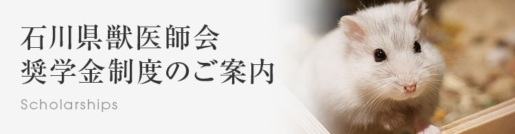 石川県獣医師会 奨学金制度のご案内