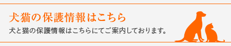 犬猫の保護情報はこちら