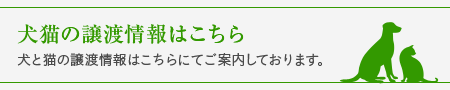 犬猫の譲渡情報はこちら